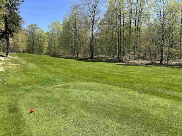 LOT8 Whitetail Dr, Bellaire, MI 49615