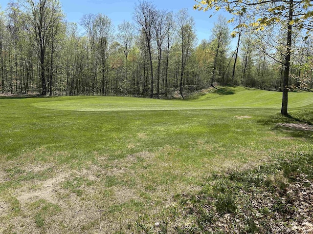 LOT8 Whitetail Dr, Bellaire, MI 49615