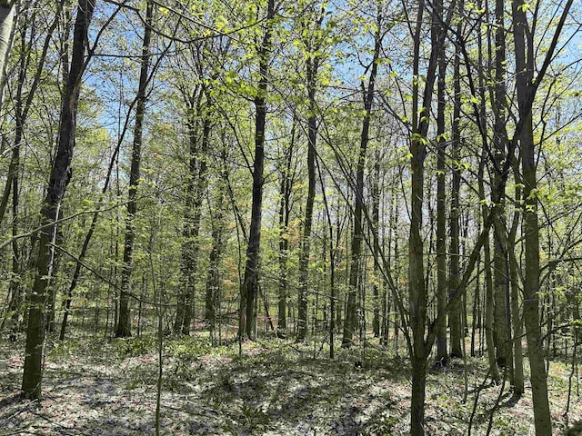 LOT8 Whitetail Dr, Bellaire, MI 49615