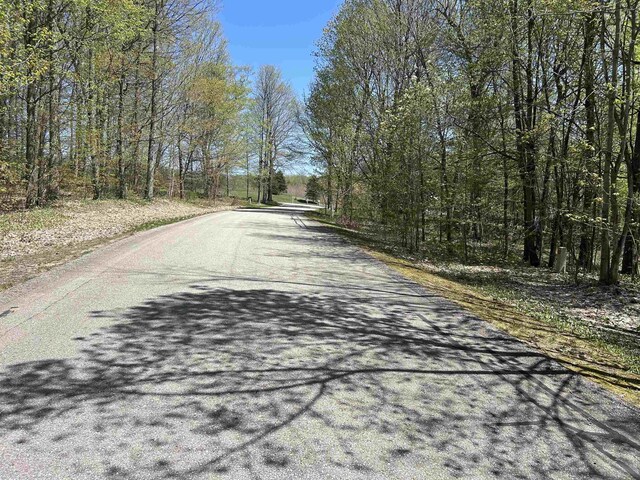 LOT8 Whitetail Dr, Bellaire, MI 49615
