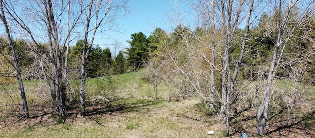 1884 S Walden Ct Lot17, Suttons Bay, MI 49682