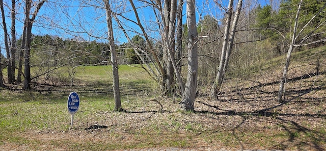 1884 S Walden Ct Lot17, Suttons Bay, MI 49682