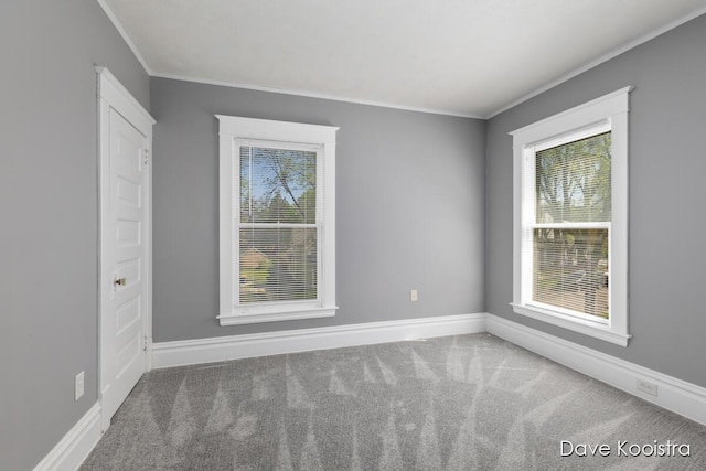 106 Colfax St NE, Grand Rapids, MI 49505 - carpeted spare room with crown molding, healthy amount of natural light, and baseboards