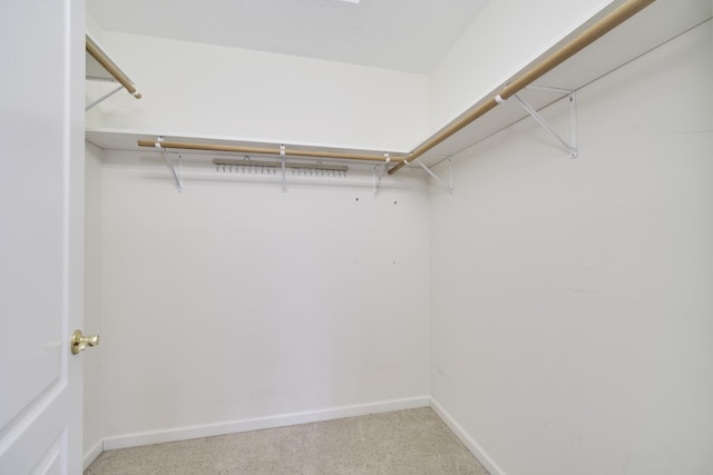 1972 Pine Ridge Dr, Manistee, MI 49660 - view of walk in closet