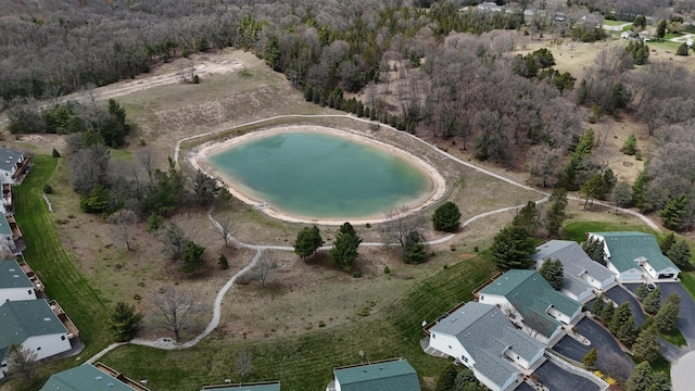 1972 Pine Ridge Dr, Manistee, MI 49660 - aerial overview of property's location featuring a nearby body of water, a heavily wooded area, and nearby suburban area