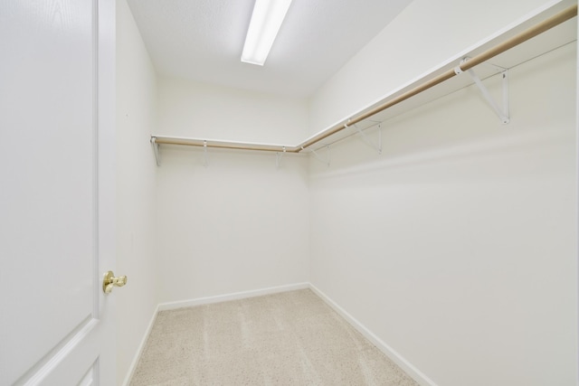1972 Pine Ridge Dr, Manistee, MI 49660 - view of spacious closet