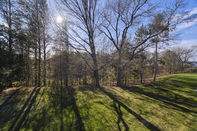 1972 Pine Ridge Dr, Manistee, MI 49660 - view of grassy yard