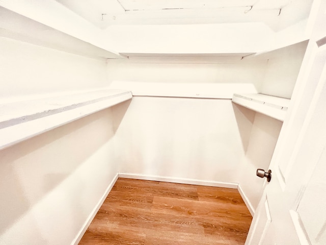 walk in closet with wood finished floors