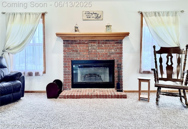 411 Rowley Dr, Attica, MI 48412 - photo 24