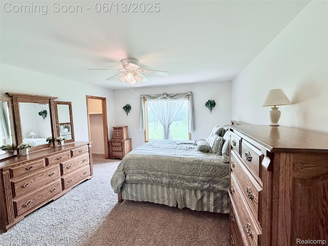 411 Rowley Dr, Attica, MI 48412 - photo 41