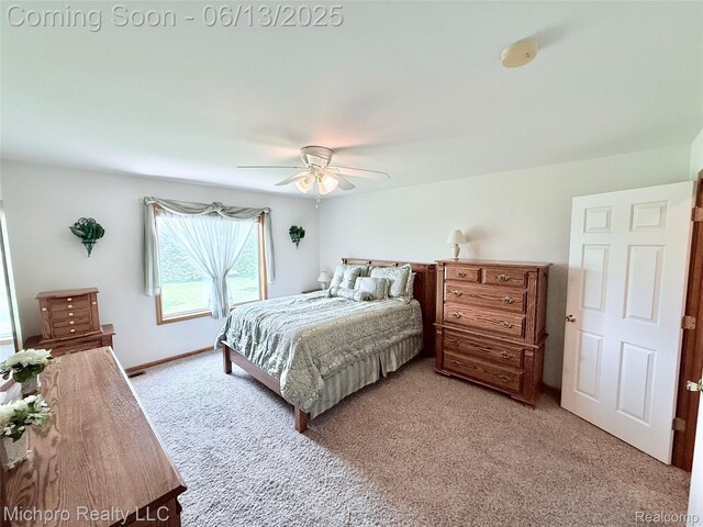 411 Rowley Dr, Attica, MI 48412 - photo 42