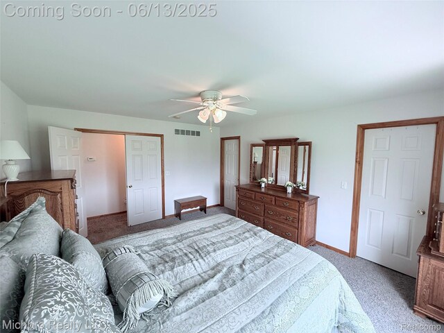 411 Rowley Dr, Attica, MI 48412 - photo 43