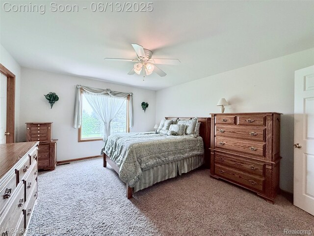 411 Rowley Dr, Attica, MI 48412 - photo 44