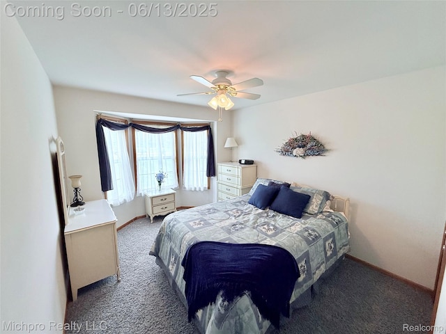 411 Rowley Dr, Attica, MI 48412 - photo 45