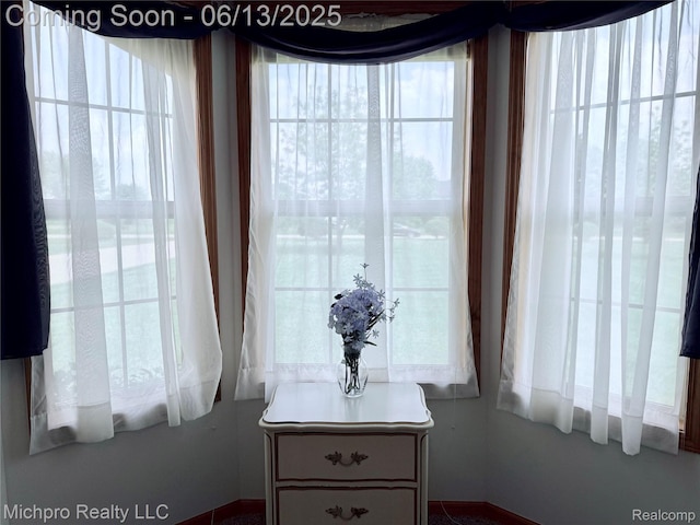 411 Rowley Dr, Attica, MI 48412 - photo 46