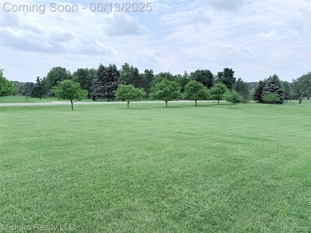 411 Rowley Dr, Attica, MI 48412 - photo 71
