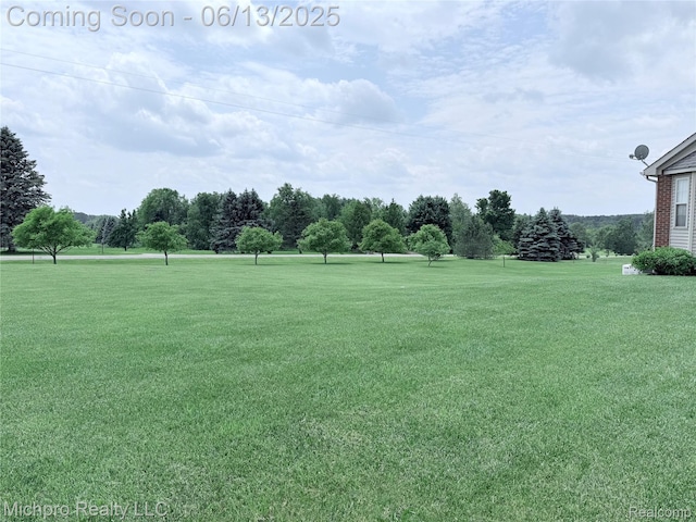411 Rowley Dr, Attica, MI 48412 - photo 70