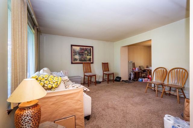 21964 Sunrise Blvd, Novi, MI 48375 - view of carpeted living area