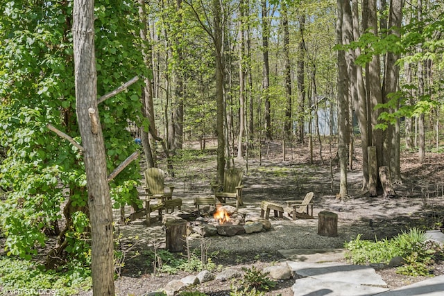 view of yard with an outdoor fire pit