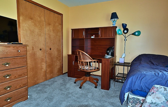 4930 Warrington Way, Gladwin, MI 48624 - carpeted bedroom with a closet