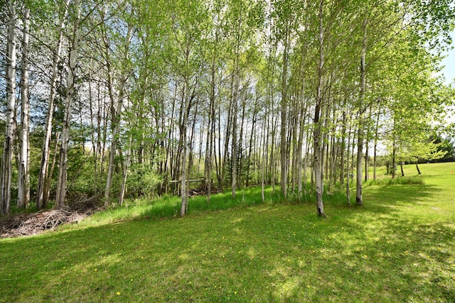 4930 Warrington Way, Gladwin, MI 48624 - view of green lawn