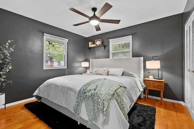 bedroom featuring multiple windows, wood finished floors, and a closet