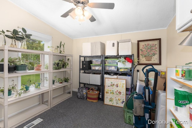 storage room featuring ceiling fan