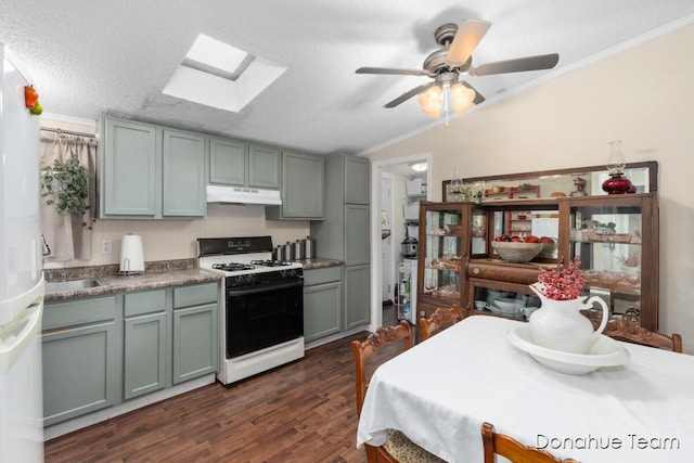 kitchen with gas stove, under cabinet range hood, a skylight, vaulted ceiling, and dark wood-style flooring