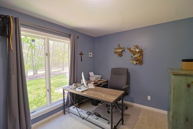 3449 Hilltop Ln, Mount Pleasant, MI 48858