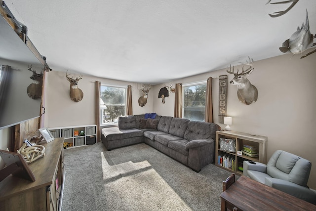 443 S Jackson St, Hanover, MI 49241 - carpeted living room with healthy amount of natural light