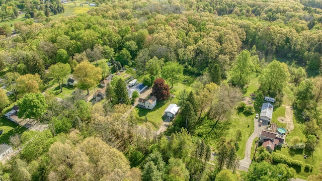 443 S Jackson St, Hanover, MI 49241 - bird's eye view of a forest