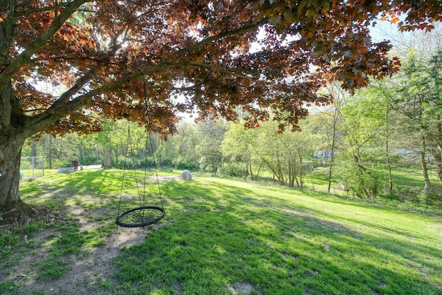 443 S Jackson St, Hanover, MI 49241 - view of green lawn featuring a view of trees
