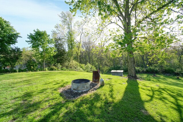 443 S Jackson St, Hanover, MI 49241 - view of green lawn