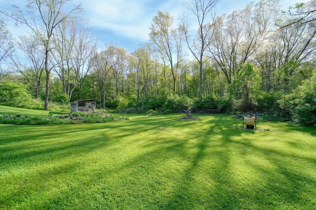 443 S Jackson St, Hanover, MI 49241 - view of grassy yard