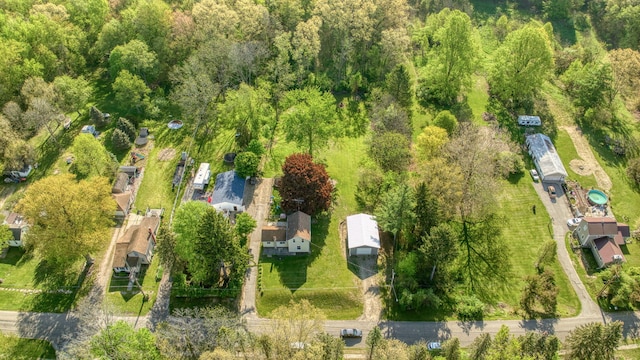 443 S Jackson St, Hanover, MI 49241 - aerial view