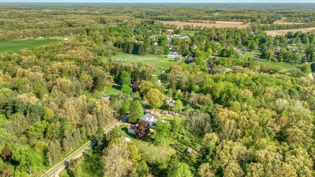 443 S Jackson St, Hanover, MI 49241 - view of property location featuring a heavily wooded area