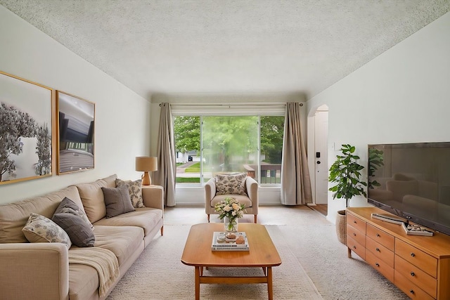 living room featuring light carpet and a textured ceiling