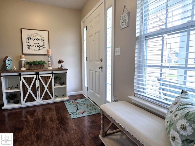 465 Edgewood Pass, Fenton, MI 48430 - entrance foyer featuring plenty of natural light, wood finished floors, and baseboards