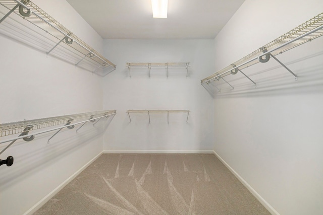 3736 Vicksburg Way, Howell, MI 48843 - spacious closet featuring carpet floors