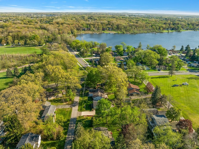 2015 Hazel Ave, Wixom, MI 48393 - aerial view of a nearby body of water and a heavily wooded area