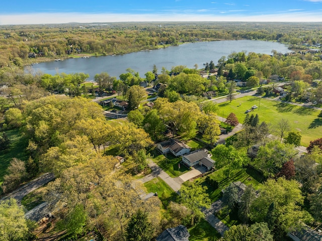 2015 Hazel Ave, Wixom, MI 48393 - aerial view of property and surrounding area featuring a large body of water and a heavily wooded area