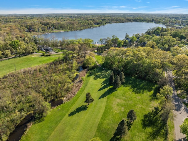 2015 Hazel Ave, Wixom, MI 48393 - view of property location with a nearby body of water and a forest