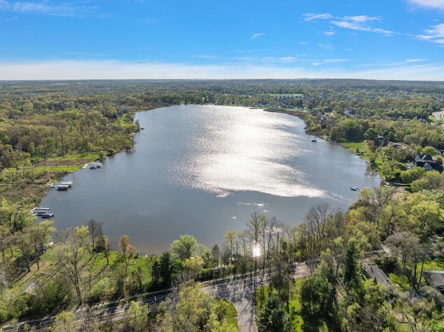 2015 Hazel Ave, Wixom, MI 48393 - aerial view of a large body of water and a forest