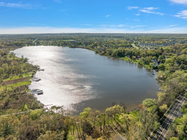 2015 Hazel Ave, Wixom, MI 48393 - drone / aerial view of a heavily wooded area and a large body of water