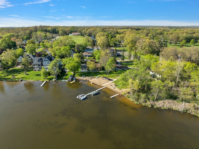 2015 Hazel Ave, Wixom, MI 48393 - drone / aerial view of a forest and a nearby body of water