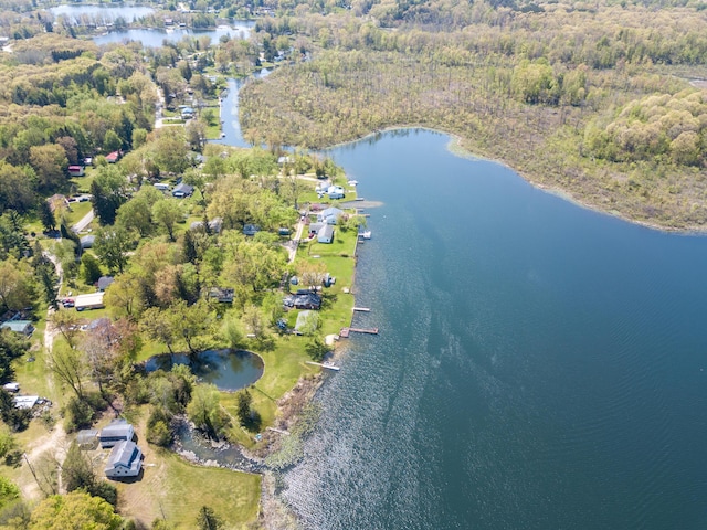 5303 Lake Rd, Reading, MI 49274 - photo 40
