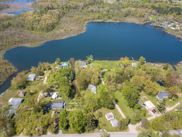 5303 Lake Rd, Reading, MI 49274 - photo 42
