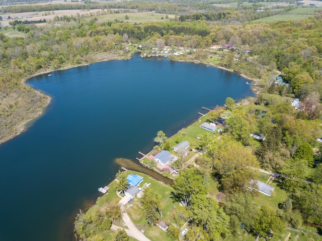 5303 Lake Rd, Reading, MI 49274 - photo 43