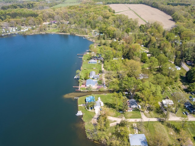 5303 Lake Rd, Reading, MI 49274 - photo 44