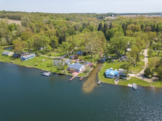 5303 Lake Rd, Reading, MI 49274 - photo 45